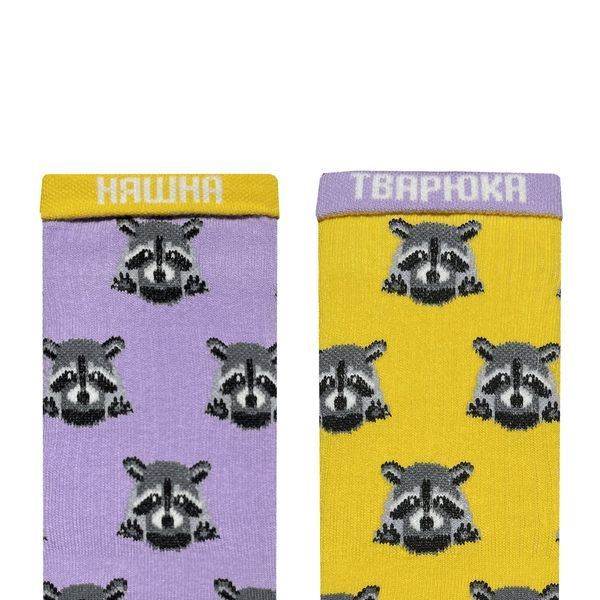 Шкарпетки "Єноти фіолетові" р. 41-46 Noskar - купити онлайн, доставка по Україні